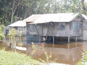 Rumah penduduk di Kampung Permatang Pelanduk ditenggelami banjir yang berpunca daripada limpahan air Sungai Kinta dan ban sungai pecah.